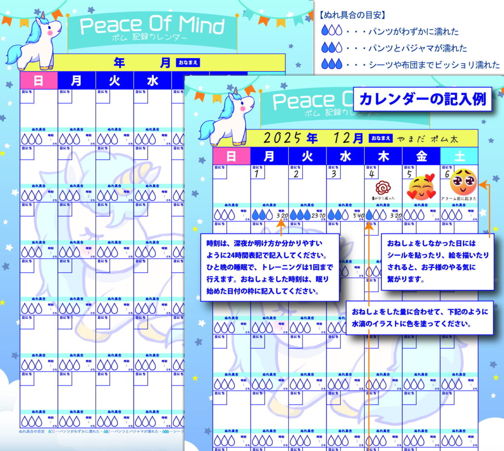 ★記録用と記入例入り